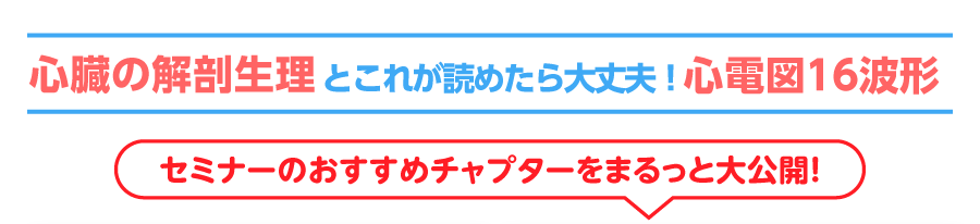 心臓の解剖生理とこれが読めたら大丈夫！心電図16波形