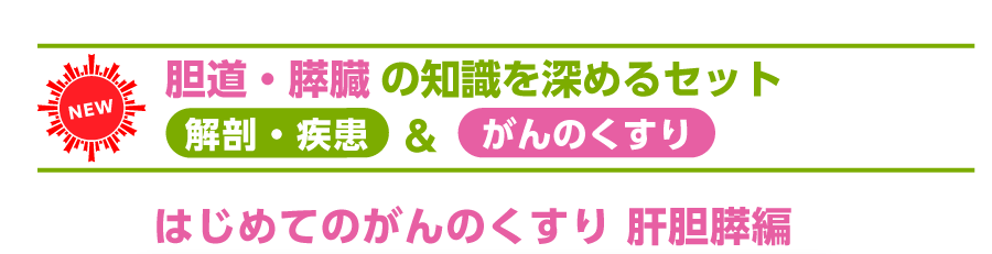 胆道・肝臓の知識を深めるセット